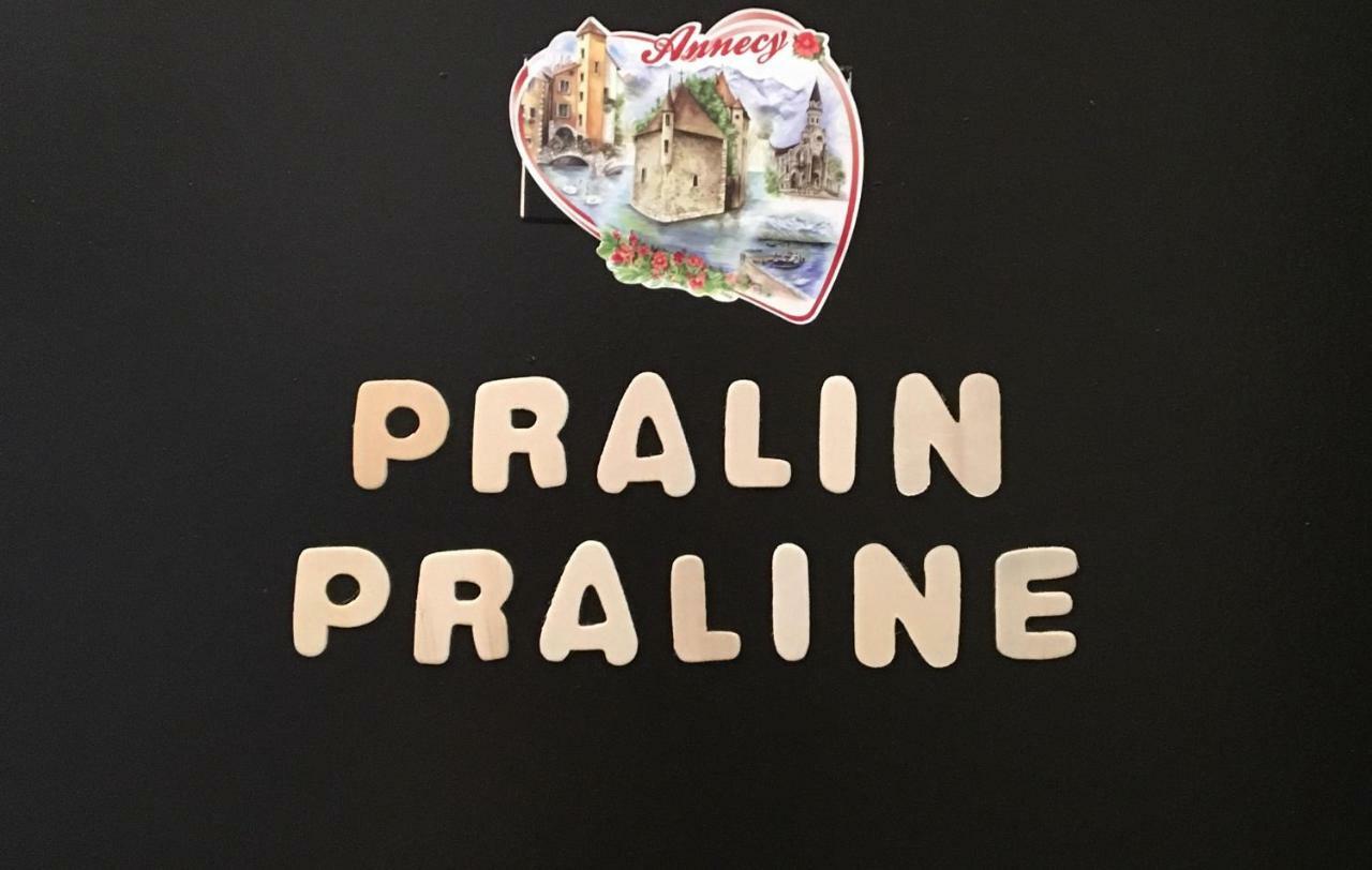 Chez Pralin & Praline Apartment Annecy Bagian luar foto