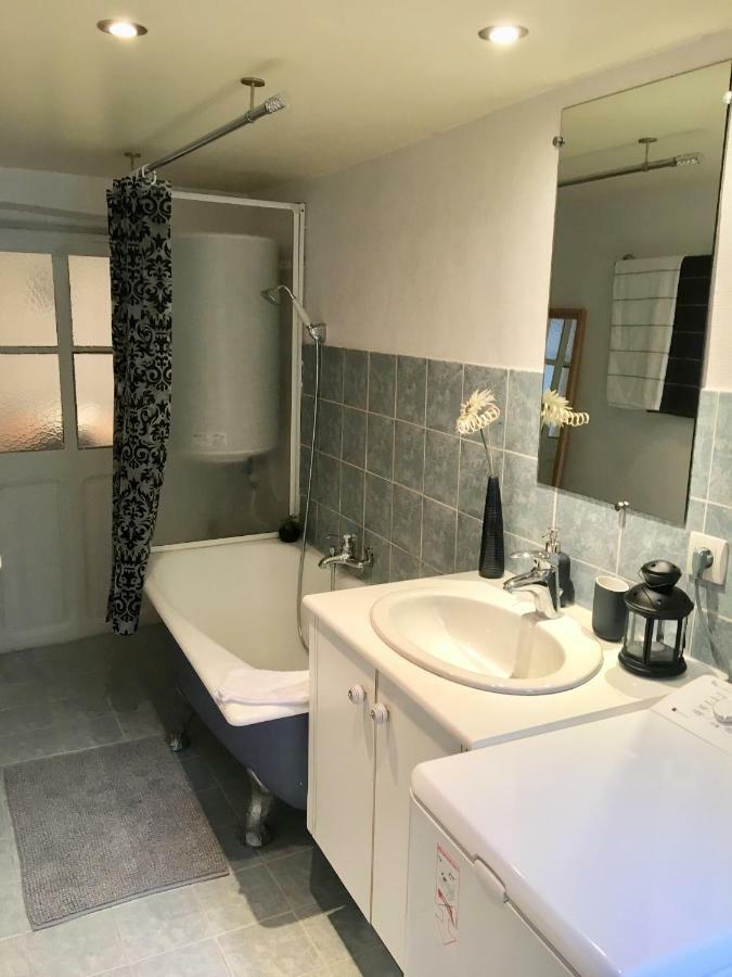 Chez Pralin & Praline Apartment Annecy Bagian luar foto